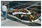 Havaianas - Cama de flores