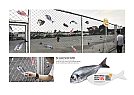 Tops Supermercado - Tops redes de pesca