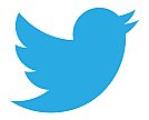 Novo ícone do Twitter - Versão Positiva Novo ícone do Twitter - Versão Positiva