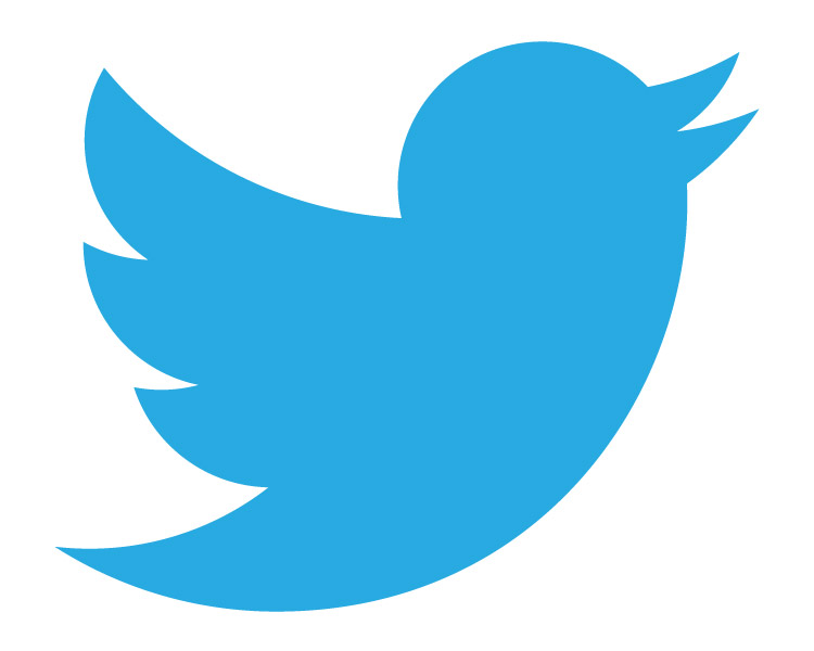 Twitter icon