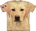 Labrador Amarelo